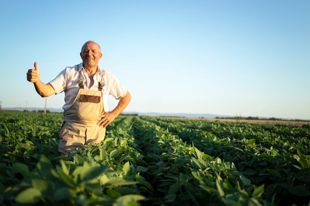 Retrato De Agricultor Agr Nomo S Nior Trabalhador Em Um Campo De Soja Segurando O Polegar Para