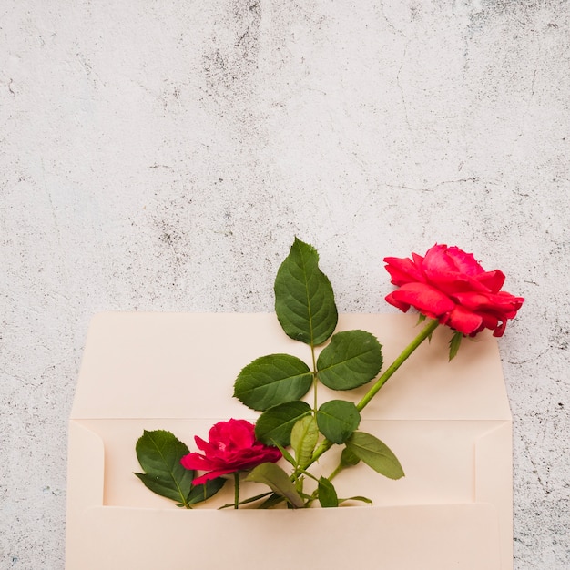 Rosas vermelhas no envelope de papel contra o fundo danificado Foto gratuita