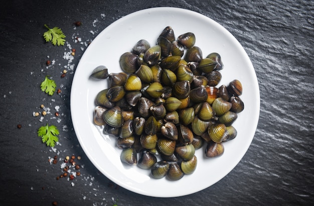 Shijimi marisco bivalve de água doce, como concha de moluscos no prato branco com ervas e especiarias no escuro Foto Premium
