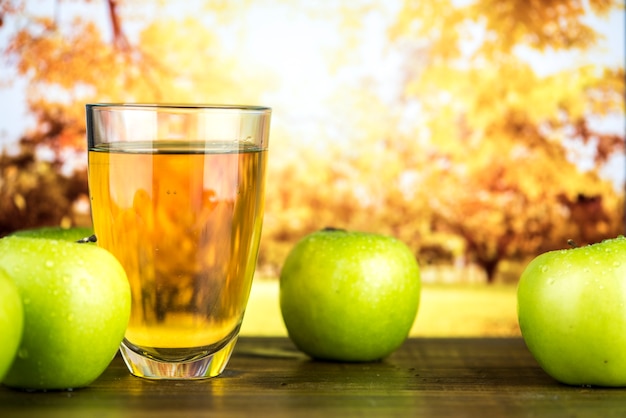 Suco De Maçã Verde Orgânico Fresco Foto Grátis 5629