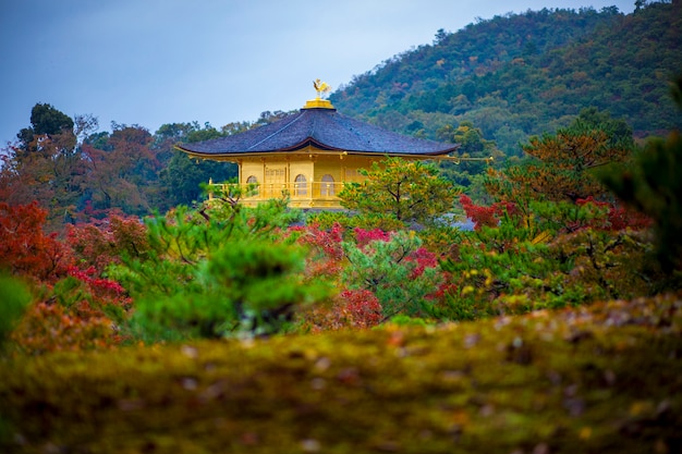 Templo Do Pavilhao Dourado Em Kyoto Foto Premium