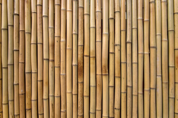  Textura  de bambu  Foto Gr tis