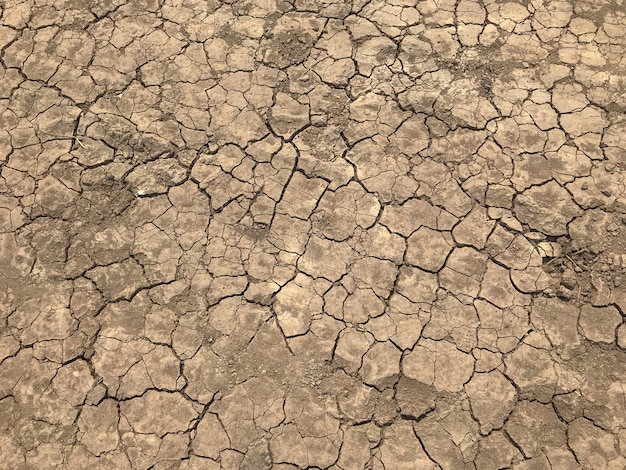 Textura de fundo de sujeira seca de rachadura amarela e pneu Foto Premium