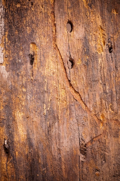 Textura De Fundo Velha Placa De Madeira Marrom Foto Premium