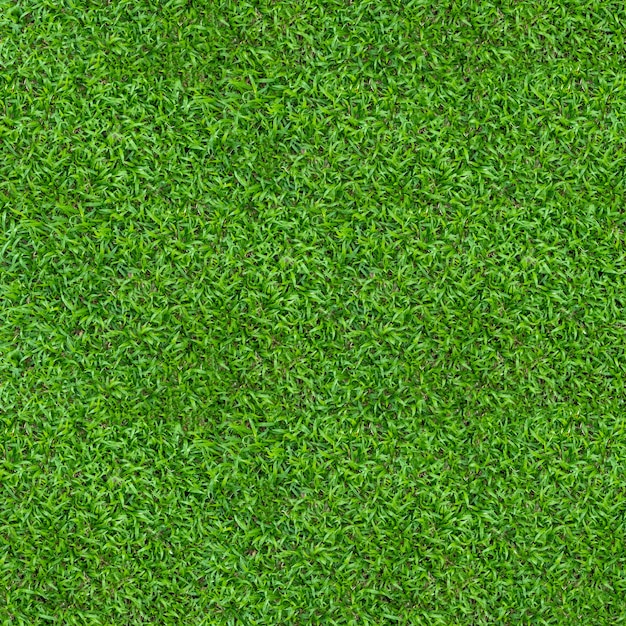 Textura De Grama Verde Para Plano De Fundo Foto Premium 8917