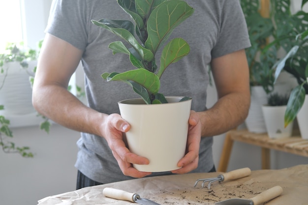 Transplante De Plantas Caseiras Um Homem Envasando Uma Planta De