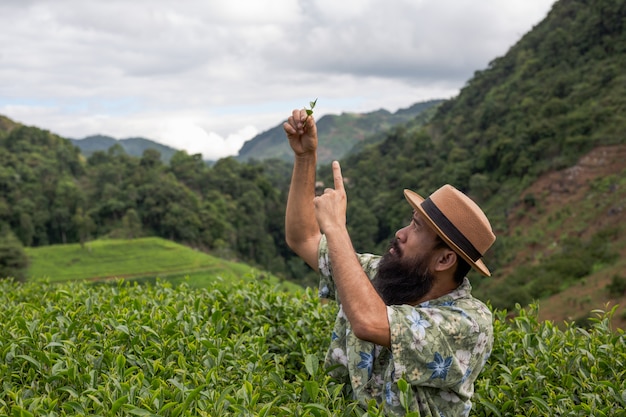 Um fazendeiro masculino com uma barba verifica o chá na exploração agrícola. Foto gratuita