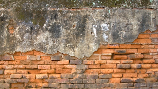 Resultado de imagem para muro antigo