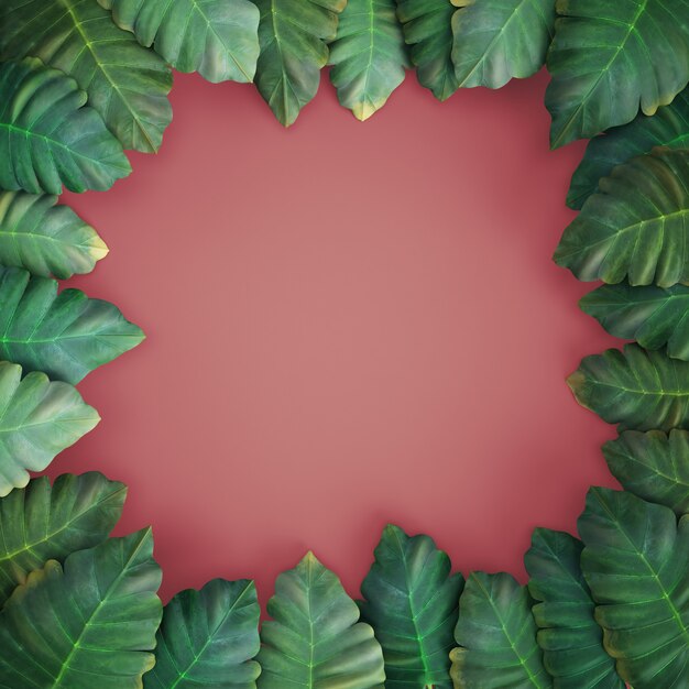 3d Ubertragen Tropische Blatter Alocasia Rosa Hintergrund Premium Foto