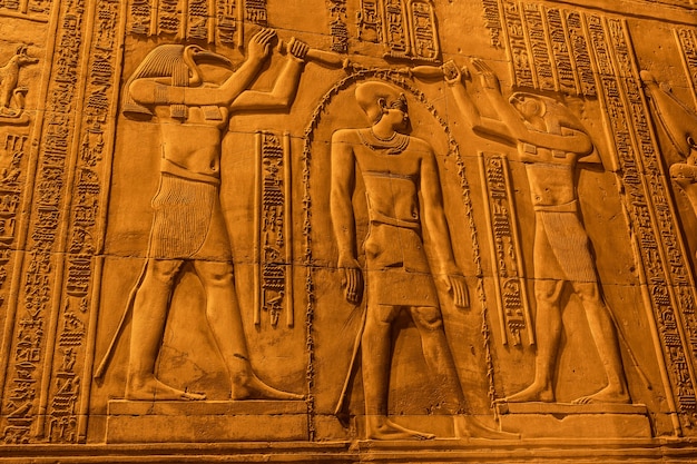 Agyptische Zeichnungen Und Hieroglyphen Im Tempel Von Kom Ombo In Der Stadt Kom Ombo In Der Nahe Von Aswer Premium Foto