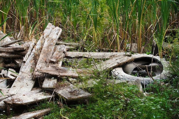 Alte gebrochene bretter und autoreifen durch den fluss in den schilfen, umweltverschmutzungskonzept Premium Fotos
