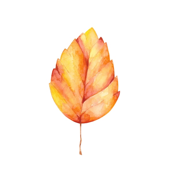 Aquarell Helle Herbstblatt Clipart Isoliert Auf Weissem Hintergrund Herbstlaub Abbildung Orange Rotes Und Gelbes Blattgestaltungselement Premium Foto