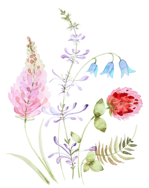 Aquarellstrausse Von Klee Und Glockenwildblumen Blumenkomposition Lokalisiert Auf Einem Weissen Hintergrund Premium Foto