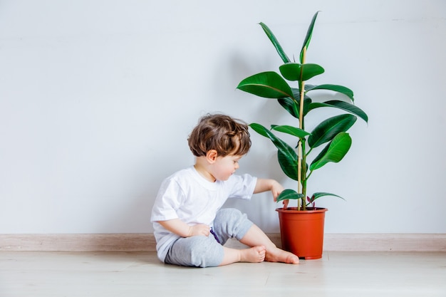 Baby mit der grünpflanze, die auf einem boden nahe weißer wand sitzt Premium Fotos