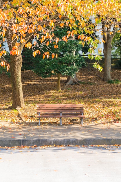 Bank Im Herbst Park Kostenlose Foto