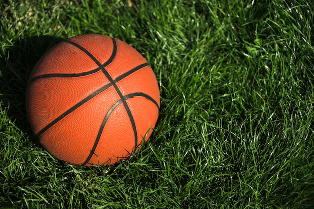 Basketball Auf Gras Hautnah Kostenlose Foto