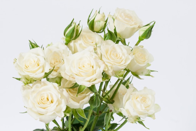 Blumenstrauß von weißen rosen auf einem weißen hintergrund ...