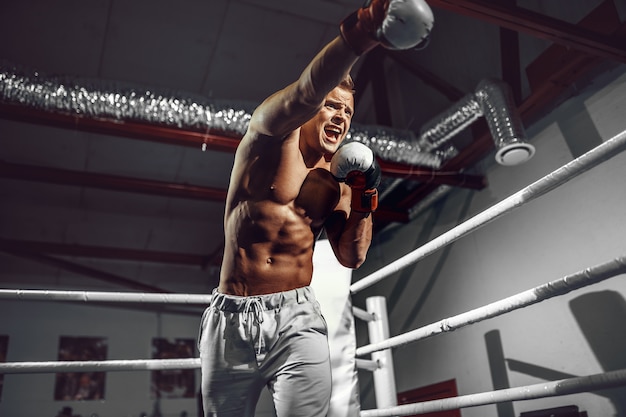 Boxer Uberzeugter Junger Boxer Auf Dem Boxring Premium Foto