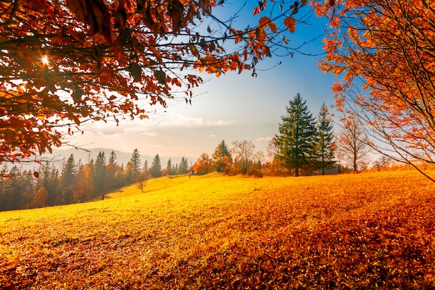 Bunte Herbstlandschaft Premium Foto