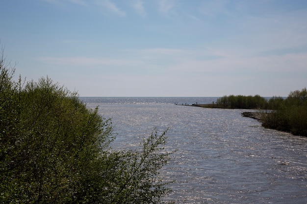 der fluss mundet ins meer treffen von suss und salzwasser das konzept alles wird gross russland adler fluss mzymta mundet in das schwarze meer sommertag premium foto