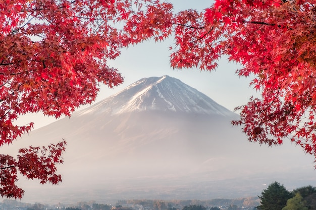 Der fujisan mit roten ahornblättern bedeckt am morgen am kawaguchiko see Premium Fotos