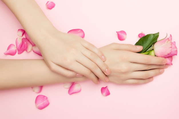 Die Frauenhande Halten Rosafarbene Blumen Auf Einem Rosa Hintergrund Kosmetik Fur Eine Sensible Hautpflege Naturkosmetik Mit Blutenblattern Handpflege Gegen Falten Premium Foto