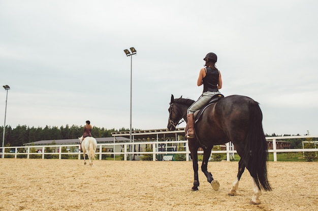 Die Madchen Reiten Auf Pferden Kostenlose Foto