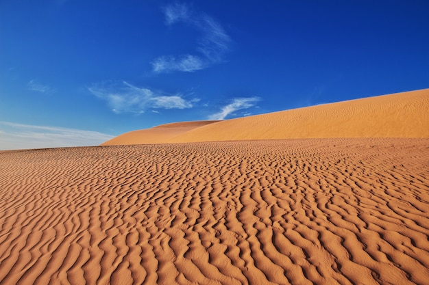 Dünen in der sahara im herzen afrikas Premium Fotos