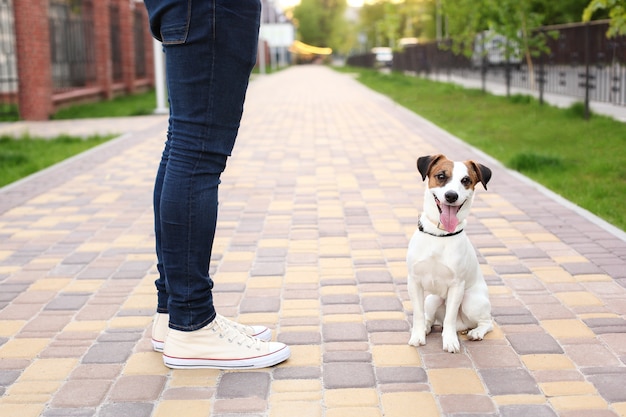 Ein mann und ein hund gehen in den park. sport mit haustieren. fitness