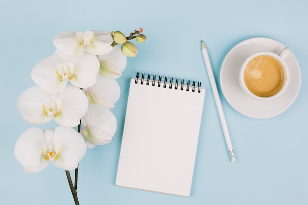 Eine Zarte Weisse Orchidee Bluht Nahe Dem Gewundenen Notizblock Bleistift Und Kaffeetasse Vor Blauem Hintergrund Kostenlose Foto