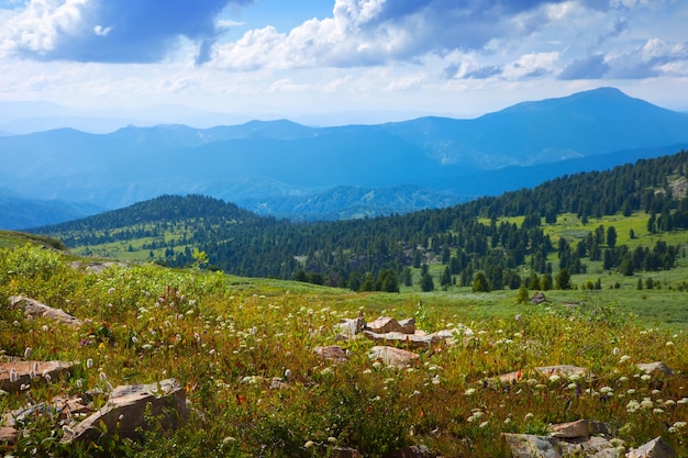 Einfache berge landschaft | Kostenlose Foto