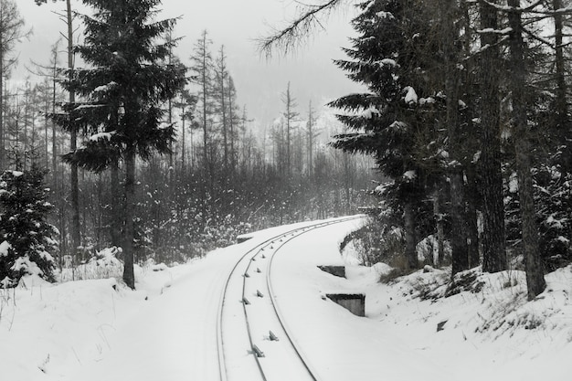 Eisenbahn Im Winterwald Kostenlose Foto