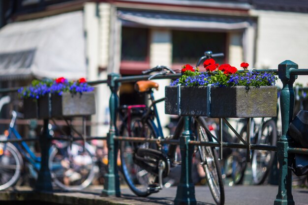 Fahrräder auf der brücke mit blumen in amsterdam, die