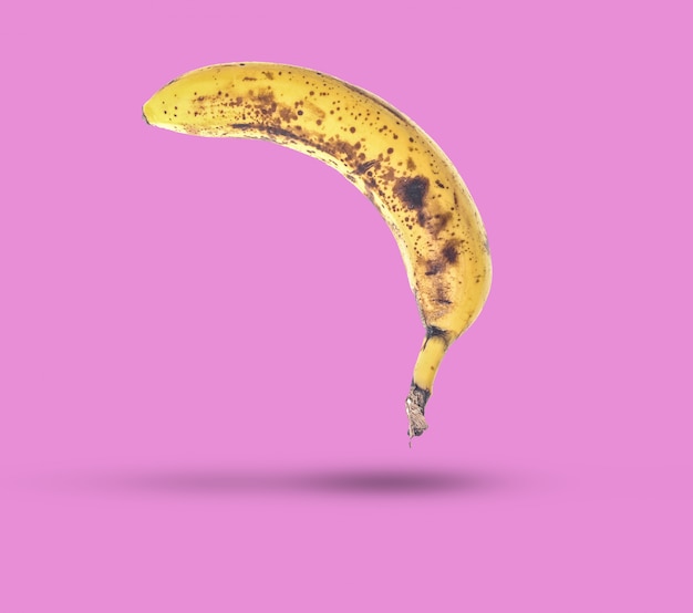 Lila-banane The Treachery