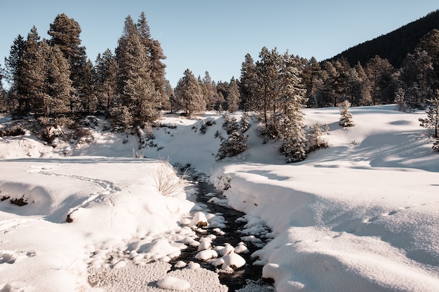 Bilder Schneefall Gratis Vektoren Fotos Und Psds