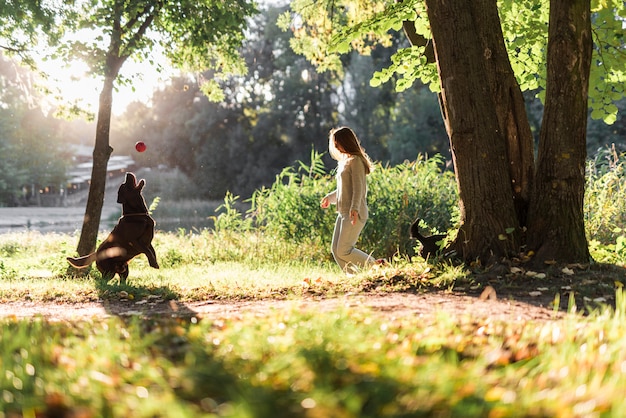 Frau und labrador, die mit ball im park spielen Kostenlose Fotos