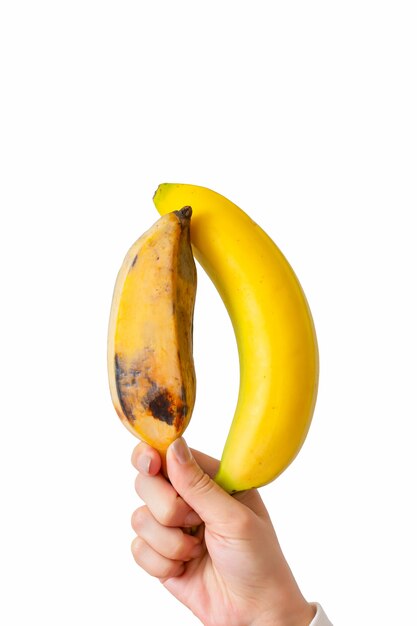 Frauenhande Halten Zwei Arten Von Banane Frisch Und Verdorben Isoliert Premium Foto