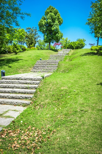 Gehweg im Garten in Bangkok, Thailand | Download der ...