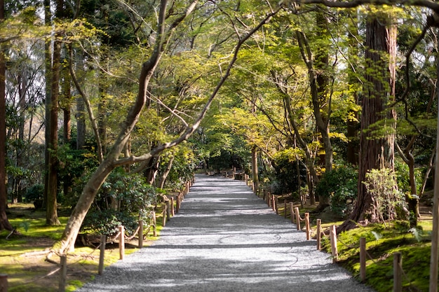 Gehweg in garten und wald | Kostenlose Foto