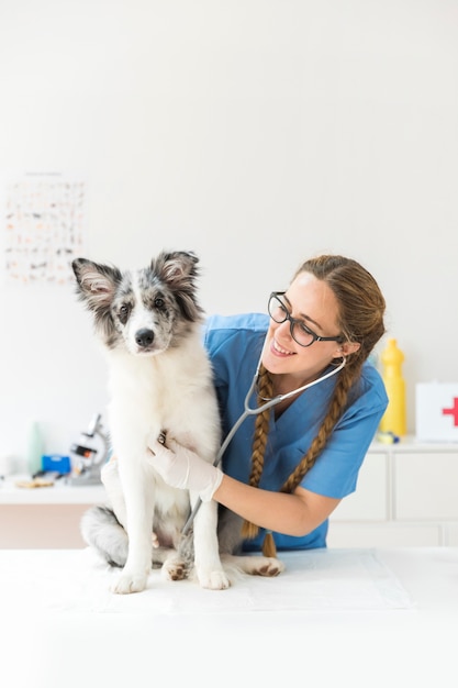 Glücklicher weiblicher tierarzt, der den hund mit stethoskop überprüft