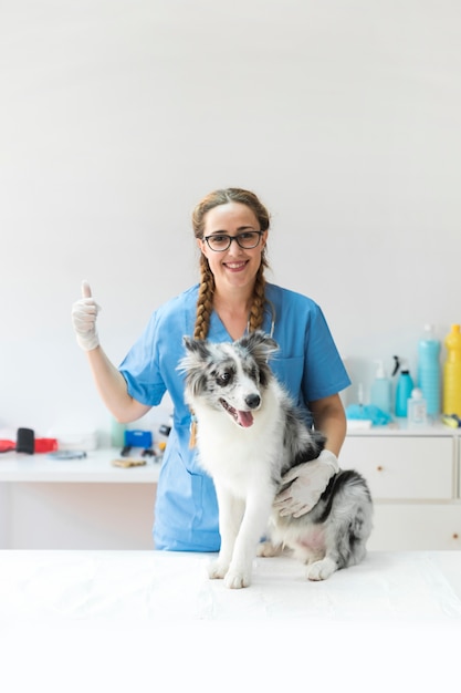 Glücklicher weiblicher tierarzt mit hund auf der tabelle, die thumbup