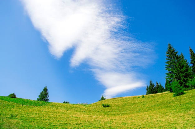Grüne wiese aß auf dem blauen himmel des hintergrundes Premium Fotos