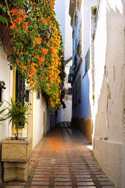 Hauser Mit Blumen In Der Alten Stadt Von Marbella In Spanien Premium Foto