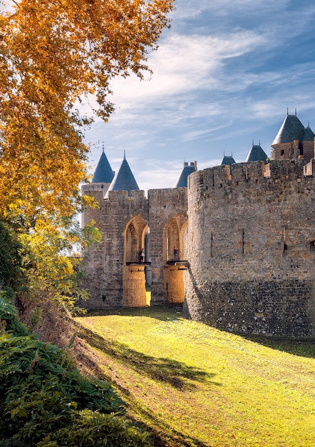 Haupteingang Zur Stadt Carcassonne Occitanie Frankreich Premium Foto