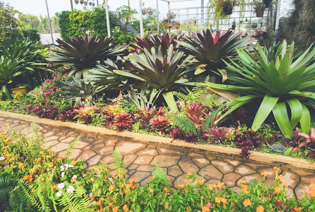 Hausgarten Und Dekoration Von Gewachshausumgebungen In Innenraumen Geheime Garten Und Moderne Gartenanlagen Premium Foto