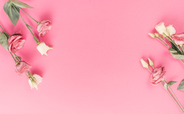 Helle Rosafarbene Blumen Auf Rosa Hintergrund Kostenlose Foto