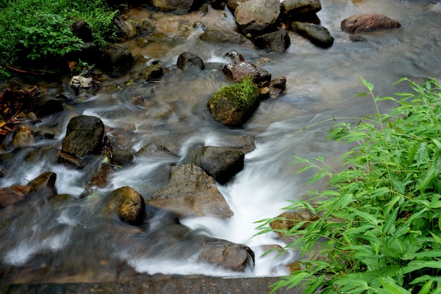 Herbstwasserfallfluss-stromszene. Premium Fotos