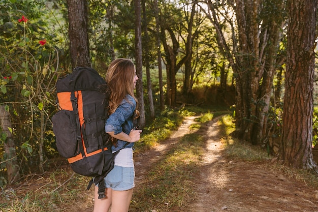 Hintere Ansicht Einer Frau Mit Dem Rucksack, Der Im Wald Steht ...