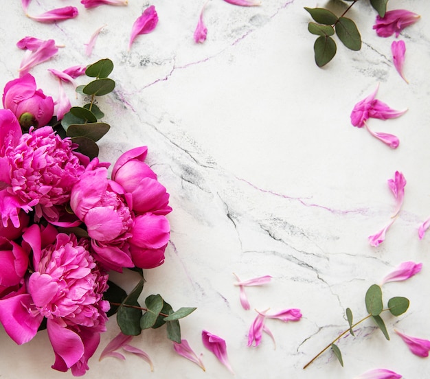Hintergrund mit rosa pfingstrosen Premium Fotos