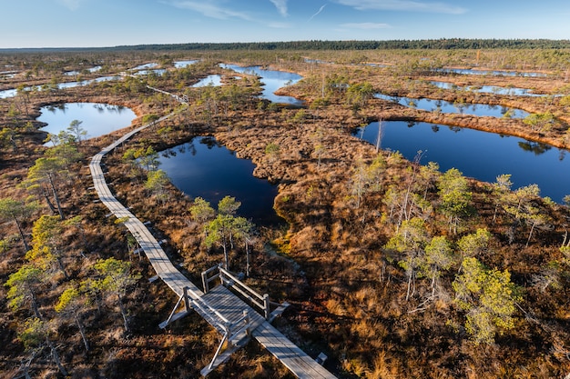 Hochmoor In Lettland Kemeri Nationalpark Landschaft Premium Foto